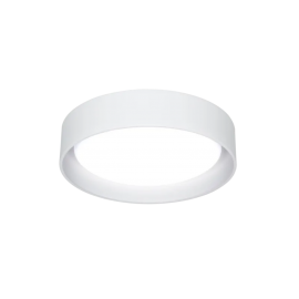 XAPO BLANCO