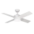 441 A