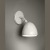 UNCUERNO PARED